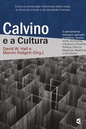 Calvino e a Cultura