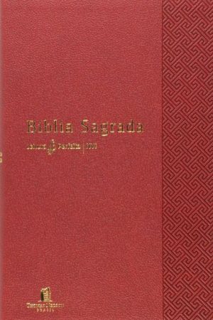 Bíblia NVI Leitura Perfeita