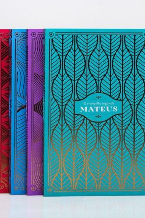 Box 4 Livros Seus Evangelhos Comentados