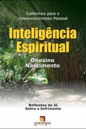 Inteligência espiritual: caminhos para o desenvolvimento pessoal