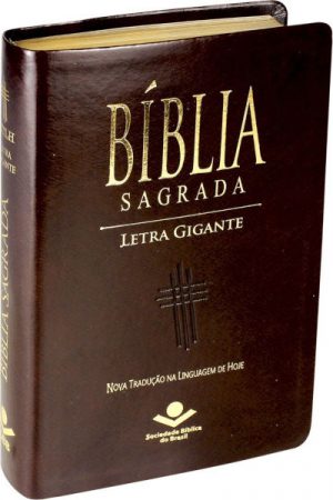 Bíblia Sagrada Letra Gigante