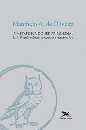A Metafísica do Ser Primordial