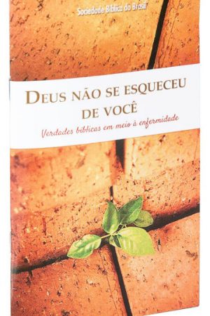 Deus Não se Esqueceu de Você