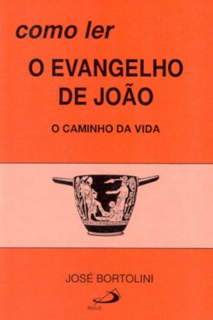 Como ler o evangelho de João