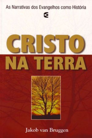 Cristo na Terra