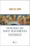 Teologia do Novo Testamento: Uma Introdução