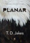 Planar – Edificando A Visão A Partir Do Zero