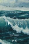 Surpreendido por Jesus: A graça subversiva nos quatro evangelhos