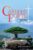 Castelo Forte – Devocional 2026